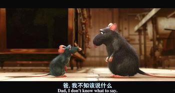 最新爆料老鼠事件新闻,最新老鼠事件引发公众关注，卫生安全问题亟待解决  第2张