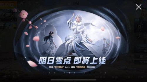 15号新皮肤爆料视频播放,视觉盛宴，神秘英雄即将亮相  第2张