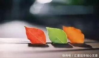 甜瓜的最新爆料文案短句,揭秘娱乐圈最新热点  第3张