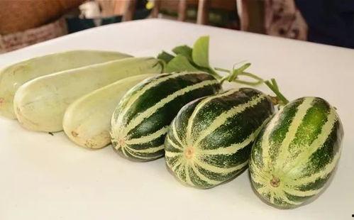 吃网红瓜,那些你不知道的“吃瓜”故事  第3张