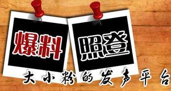 有什么新闻可以爆料