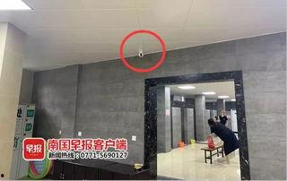 广西王女士最新爆料,揭秘惊人内幕！